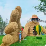 草雕